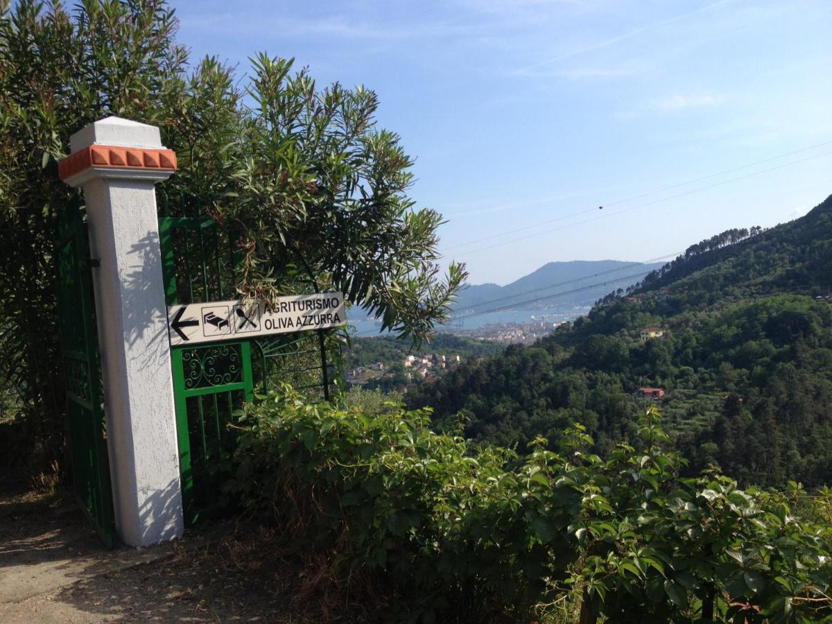Agriturismo Oliva Azzurra Villa Valeriano Lunense Екстериор снимка