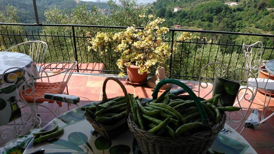 Agriturismo Oliva Azzurra Villa Valeriano Lunense Екстериор снимка